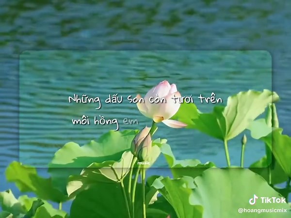 Chill Out with the Best 2AM Remixes and Covers