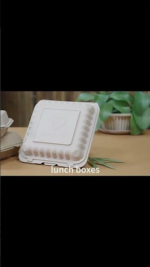 Bamboo Disposable Tableware Collection | ZSS Technology