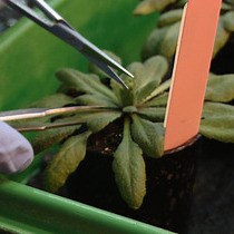 Video: A Simple Fractionated Extraction Method for the Comprehensive Analysis of Metabolites, Lipids, and Proteins from a Single Sample