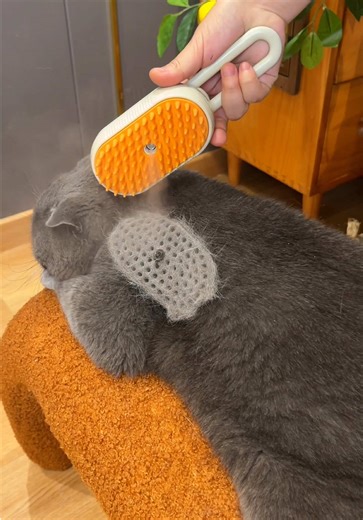 Pet Steam Brush | pet steam brush