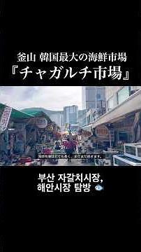 韓国🇰🇷釜山にある韓国最大の海鮮市場『チャガルチ市場』🐟