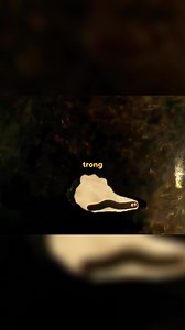 Giun Đất Khám Phá Thế Giới p1…#xuhuong #Carton #ilovetiktok #hoathinhvuinhon #cauchuyen