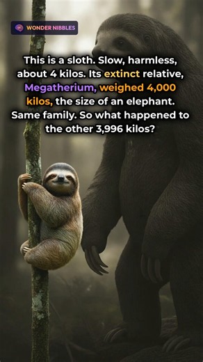 This Sloth Used to Weigh 4,000 Kilos