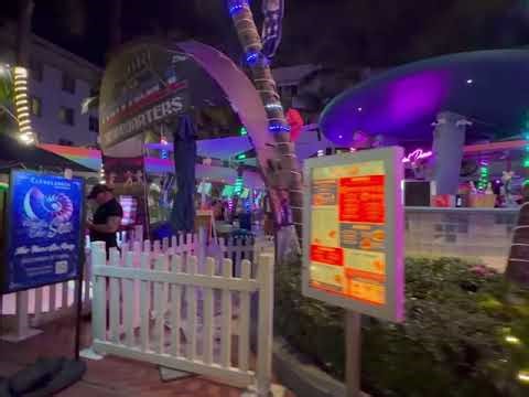 🎄✨ Miami Beach at Christmas & New Year | Holiday Vibes in Paradise 🌴🎆