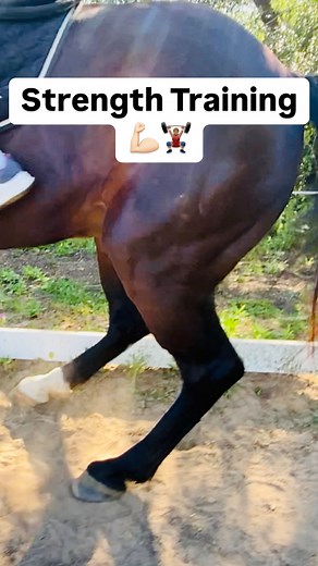 5K views · 125 reactions | High-Intensity Interval Training (HIIT) is...