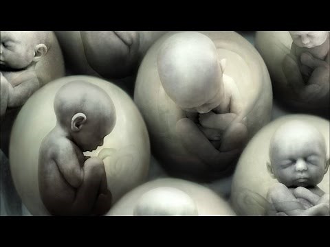 Alienígenas caso abierto Cosecha humana (hipótesis)