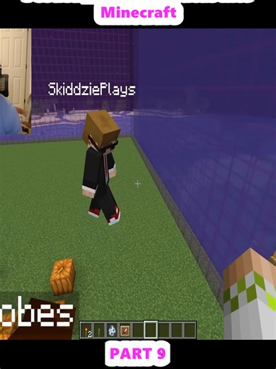 I coded your dumb Ideas into Minecraft (9)