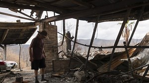 8.5K views · 76 reactions | As discussions over bureaucratic red tape permeates the issue of bushfire recovery and donations, the federal government deserves credit for an “important concession” to help businesses in bushfire-impacted areas, says Sky News host Peta Credlin. More: www.skynews.com.au | Sky News Australia | Facebook