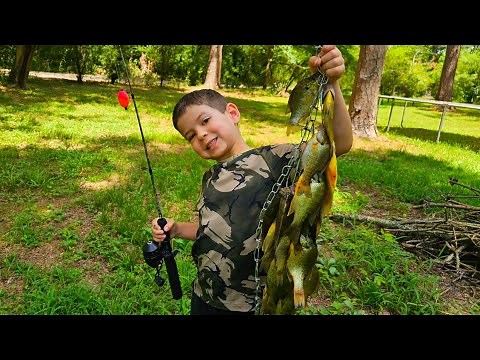 How to Catch Summer Bluegill and Shellcracker (Redear) Sunfish EASY