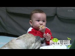 슈퍼맨이 돌아왔다 180회 티저 – 윌리엄네 ㅣ KBS방송