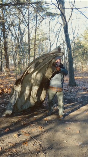 The Best Way To Connect To The Environment #tarpcamping