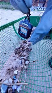 I Found a VALUABLE WATCH Buried in the Sand! (Price Reveal) ⌚💰 #shorts