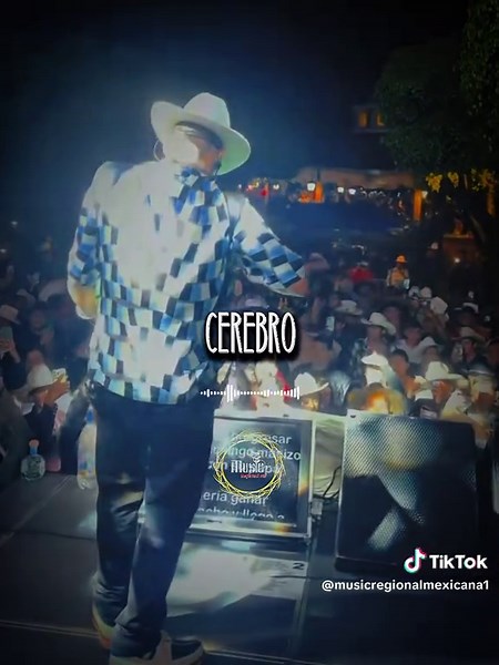 🐓Me acuerdo desde morrillo que anhelaba billetes cuando la raza llegaba , #bandamax #lirycs #voiceeffects
