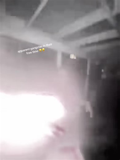 rachet&cece’ (@master_.chef)’s videos with original sound - rachet&cece’