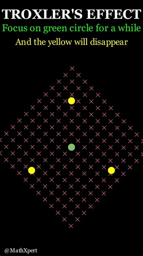 #troxlerseffect #visualperception #opticalillusions #brainfacts #sciencevisuals