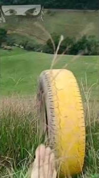 Rolling tires down a Brazilian mountain — what could go wrong?