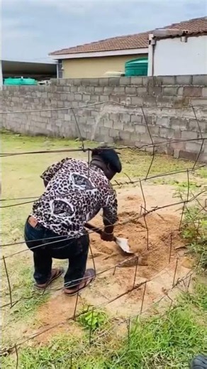 apiclient the fields in a [video](https://developers.google.com/youtube/v3/docs/videos) resource.