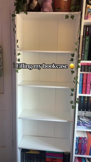 Reorganizing My Bookcase: A Journey through My Books