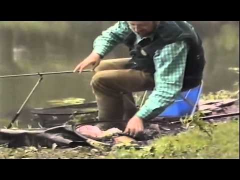 Go Fishing - John Wilson - Carp in the Lilies
