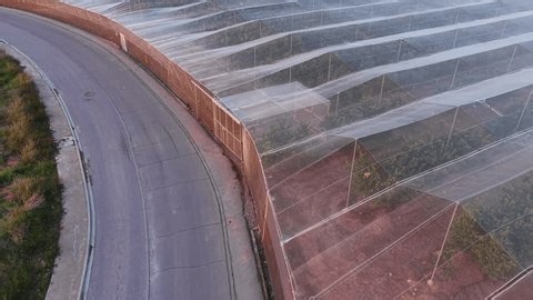 clip-4107028999-large-nethouse-structure-covering-rows-citrus-trees