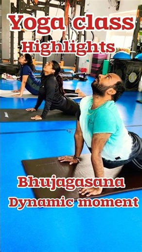 Backbend Sequence Yoga Class 🔥 Spine Opening Flow for All Levels