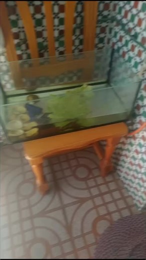 Videos de sergio Hjdj (@seloloko) con “оригинальный звук - sergio Hjdj”