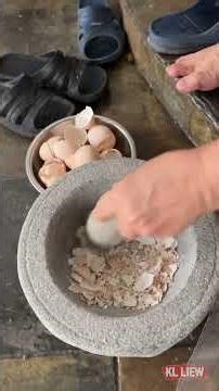 鸡蛋壳别扔！加点这个变身“蜗牛克星”，花长疯了！