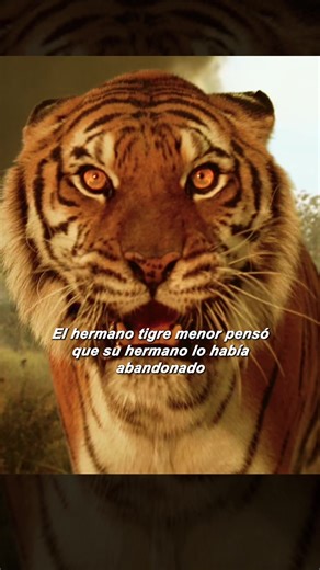 #movie #movieclips #film #tiktok | movies clips