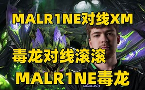 Dota2 7.37E版本，MALR1NE对线XM，毒龙对线滚滚，MALR1NE第一视角冥界亚龙教学。