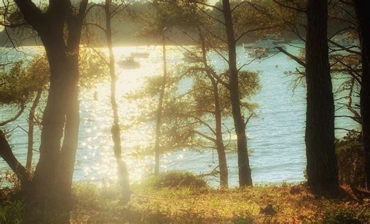 The Invigorating Smell of Spring in the UK Countryside