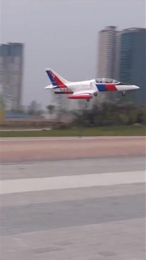 RC Jet Crash Landing #rcairplane #rcplane #rcairplanes #rcplanecrash #rcplanes #rcpilot #rchobby #rc