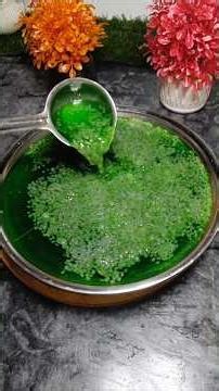 Refreshing Mint Drink Recipe | Pudina Sharbat for Iftar | Easy Homemade Mint Juice #food #recipe