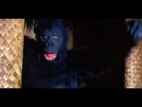 Review - Feature 2: The Beast that Killed Women (1965)