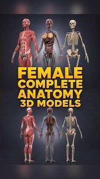 Female Complete Anatomy: 3D Model and System Overview