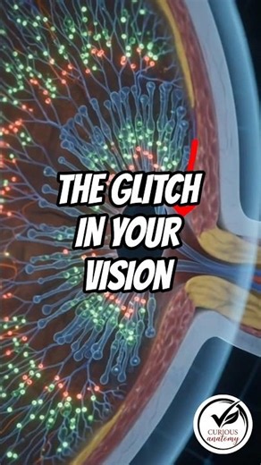 The Glitch in Your Vision