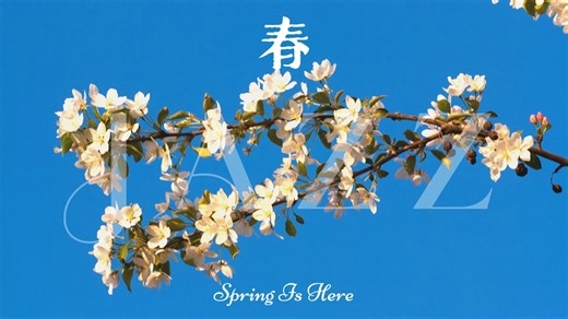 『Playlist・SPRING IN JAZZ』 春日浮光爵士诗笺｜倒寒与复苏的和解仪式 冻土与绿意的听觉辩证法 | 独处 独酌 学习 工作