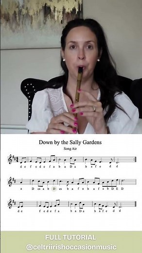 Quick Tin Whistle Lesson | Down by Salley Gardens