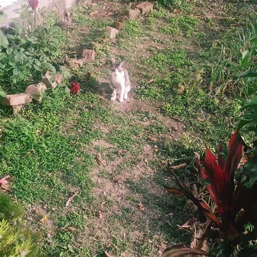 New video @7 30pm today