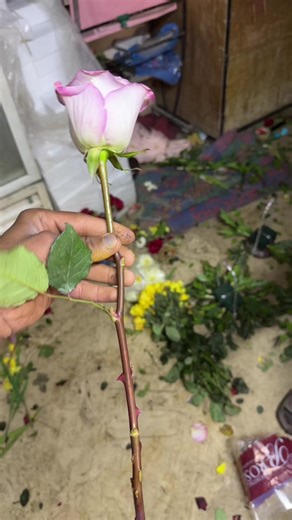 Karachi Flower Delivery Services: A Blossoming Experience