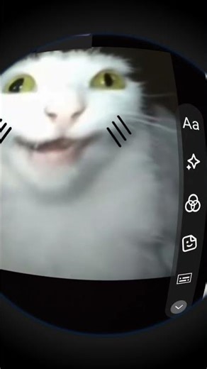other friends male cover cat😂
