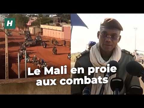 Minister killed, Russians involved... What you need to know about the situation in Mali