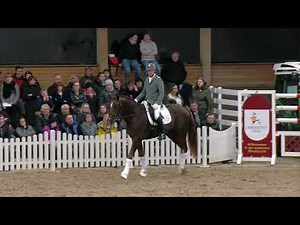 Auf der Hengstvorführung mit Nechristo