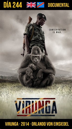 Juan Amondarain on Instagram: "Virunga (2014) Orlando von Einsiedel Un documental impactante y necesario. Sigue a un grupo de guardaparques que arriesgan su vida para proteger el Parque Nacional Virunga, en el Congo, frente a una empresa petrolera británica y a grupos armados. Una historia real sobre coraje, corrupción y esperanza, que demuestra el poder de la verdad y la dignidad humana ante el abuso del poder. Disponible en Netflix. #Virunga #Documental #Congo #Netflix #OrlandoVonEinsiedel"