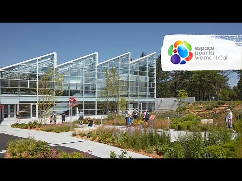 Insectarium de Montréal