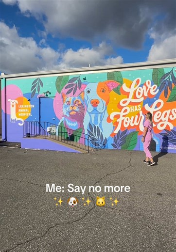 Sometimes a custom-designed mural is all it takes to help a space stand out and pull people in…when it’s done right. I love creating murals that feel aligned with the business while also giving people a moment they remember. During this install, so many people stopped to tell me they had no idea there was an animal hospital here, and that they were excited to bring their pets and tell their friends and family about it. If you want your space to be seen, remembered, and talked about, a thoughtful