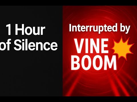 1 Hour of Silence Interrupted by the Vine Boom Sound