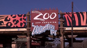 Columbus Zoo offering discounted memberships to Ohioans who qualify for gov. assistance