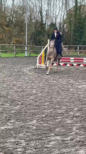 5.1K views · 19 reactions | Back Seat Driver on Reels | Facebook