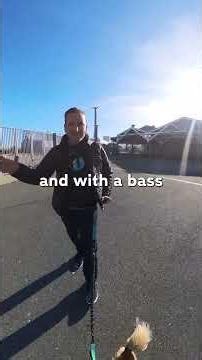 Choosing double bass strings: what's right for you? #doublebass