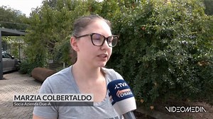 🔸ORO E GIOIELLI DA RITIRARE ARRESTATO FINTO CORRIERE #SanZenonedegliEzzelini Tenta di farsi consegnare oro e gioielli per 130 mila euro. Arrestato un finto corriere. Era riuscito a entrare nei sistemi informatici di un laboratorio orafo di San Zenone degli Ezzelini. #fintocorriere #arresto #tgvenetonews👉guarda | TG Veneto